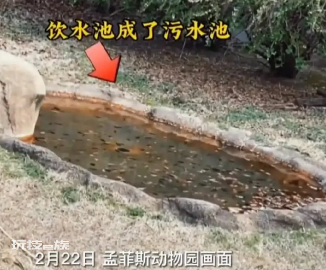 丫丫仍继续乞食 网友:丫丫何时能回家?