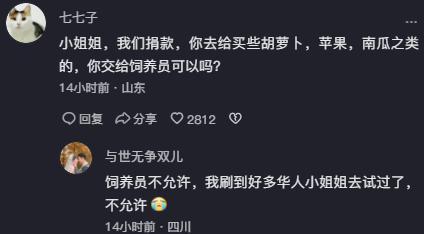 丫丫乞食画面让人心疼 闻了园内所有竹子没吃一直转圈