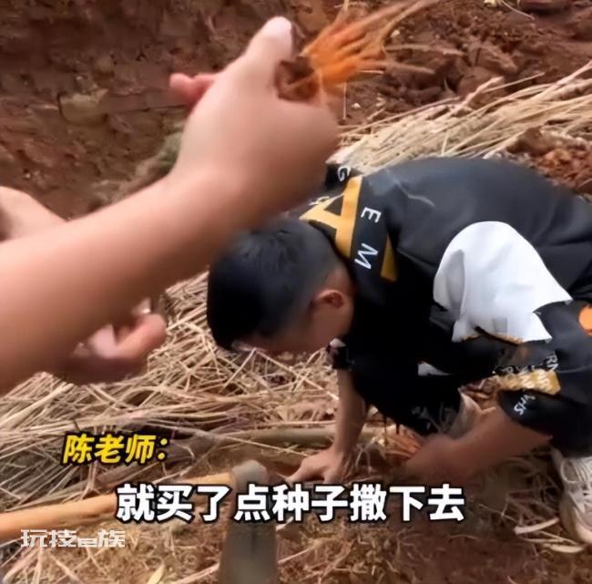 大学生种半年胡萝卜,出土细如虫草,老师:老鼠进去都摇头 网友们看完后说,直接炒胡萝卜丝