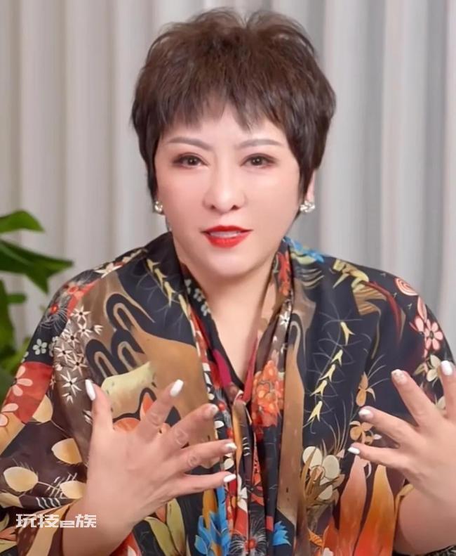 向太暂停直播的原因 网友:省流:赚不到钱,先走了