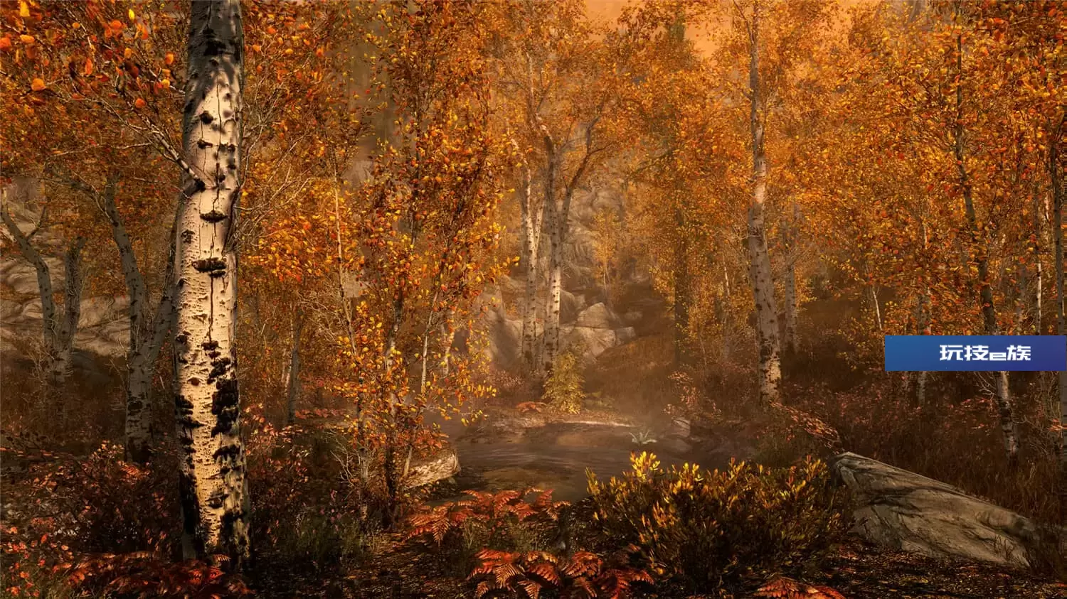 上古卷轴5:周年纪念版/上古卷轴5:天际10周年重制版/The Elder Scrolls V: Skyrim Special Edition