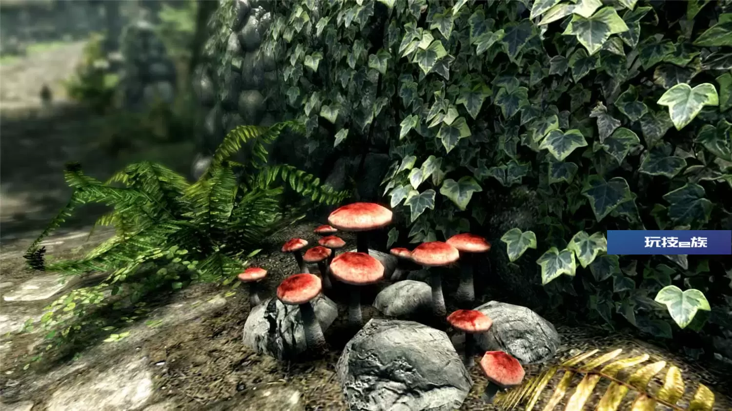 上古卷轴5:周年纪念版/上古卷轴5:天际10周年重制版/The Elder Scrolls V: Skyrim Special Edition