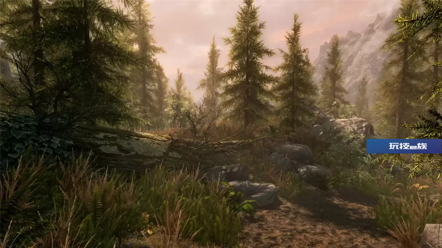 上古卷轴5:周年纪念版/上古卷轴5:天际10周年重制版/The Elder Scrolls V: Skyrim Special Edition
